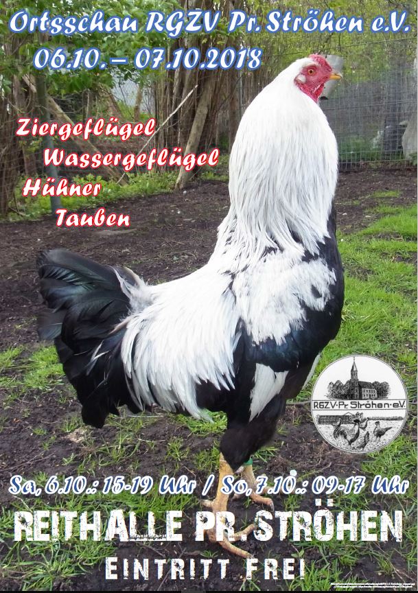 Ortsschau 2018