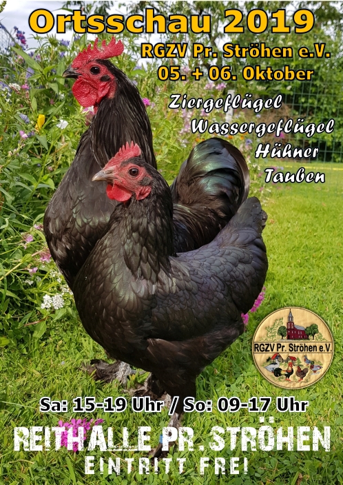 Ortsschau 2019